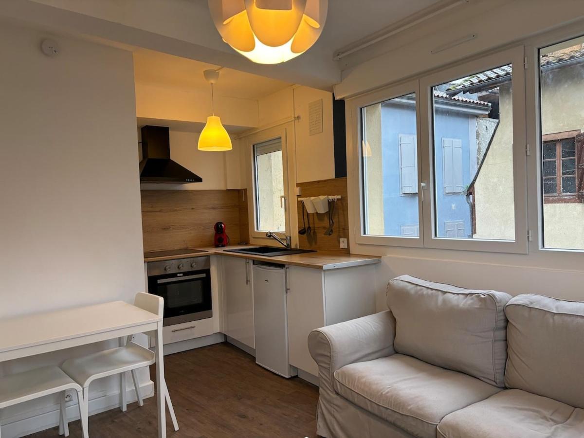 Appartement L'Ecrin Bleu à Saint Gaudens Extérieur photo